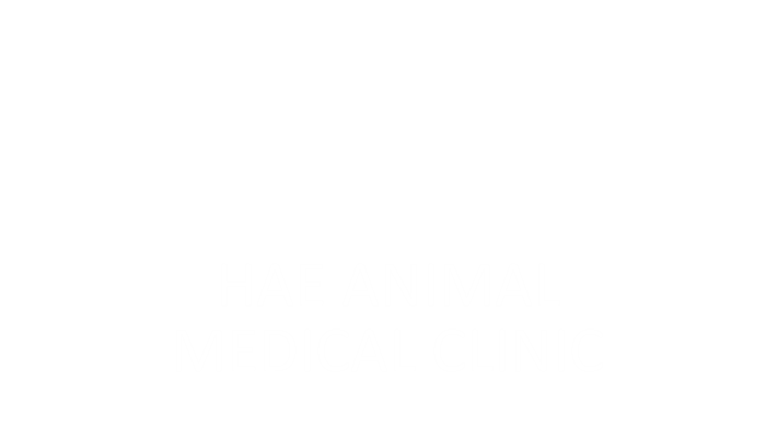 HAE ANIMAL MEDICAL CLINIC